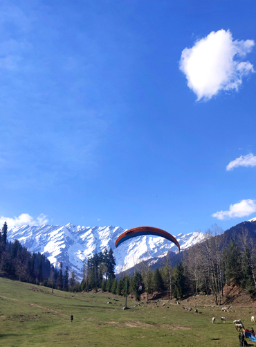 Manali Tour Package